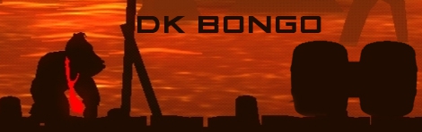Banner DK Bongos