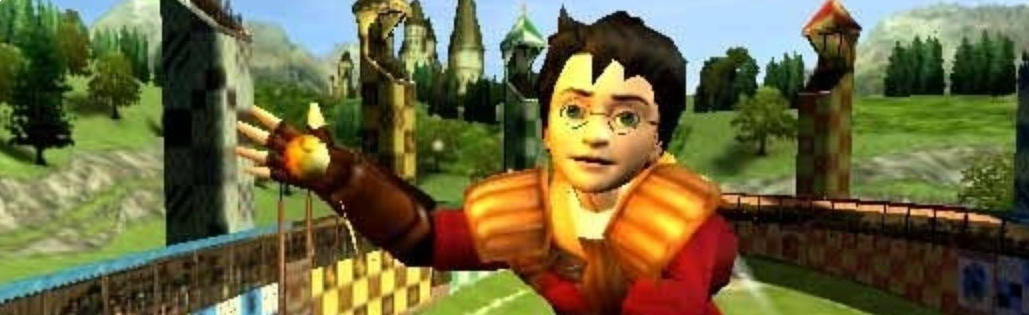 Banner Harry Potter WK Zwerkbal