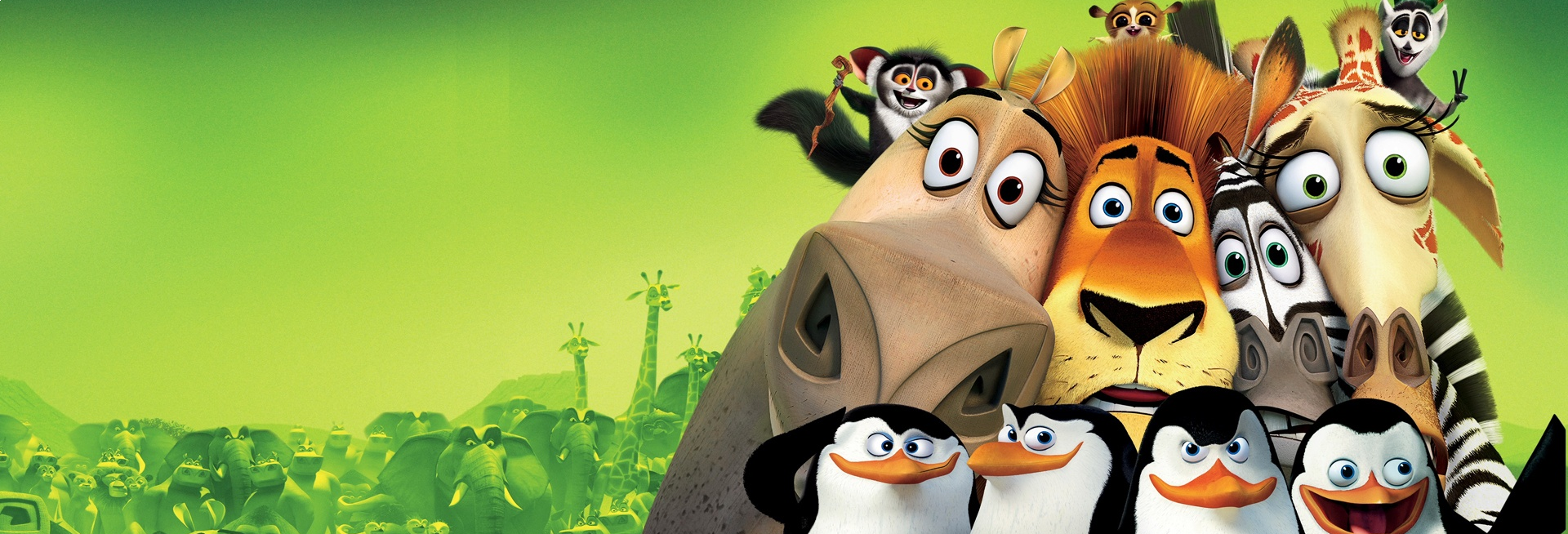 Banner Madagascar