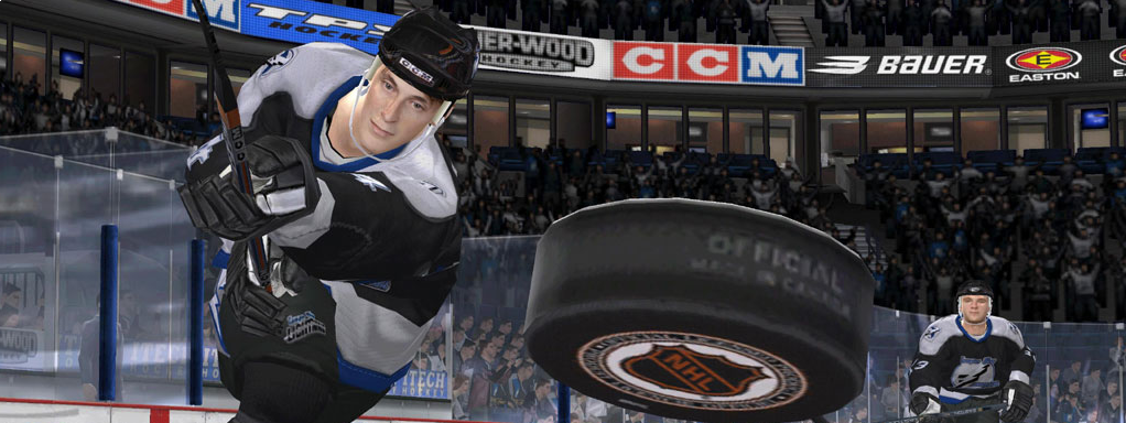 Banner NHL 06