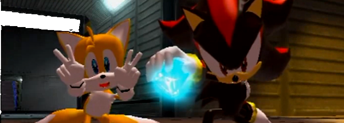 Banner Shadow the Hedgehog