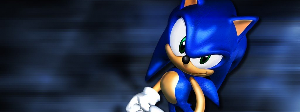 Banner Sonic Adventure DX Directors Cut