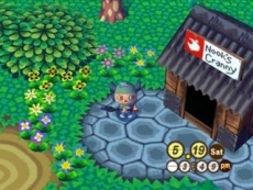 Review Animal Crossing: Zowat alles wat je vindt, is van jou. Sommige dingen leveren veel op in de lokale winkel!