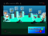 Bekijk de pokémon die je hebt verzameld in Pokémon Ruby en Pokémon Sapphire Game Boy Advance spellen.